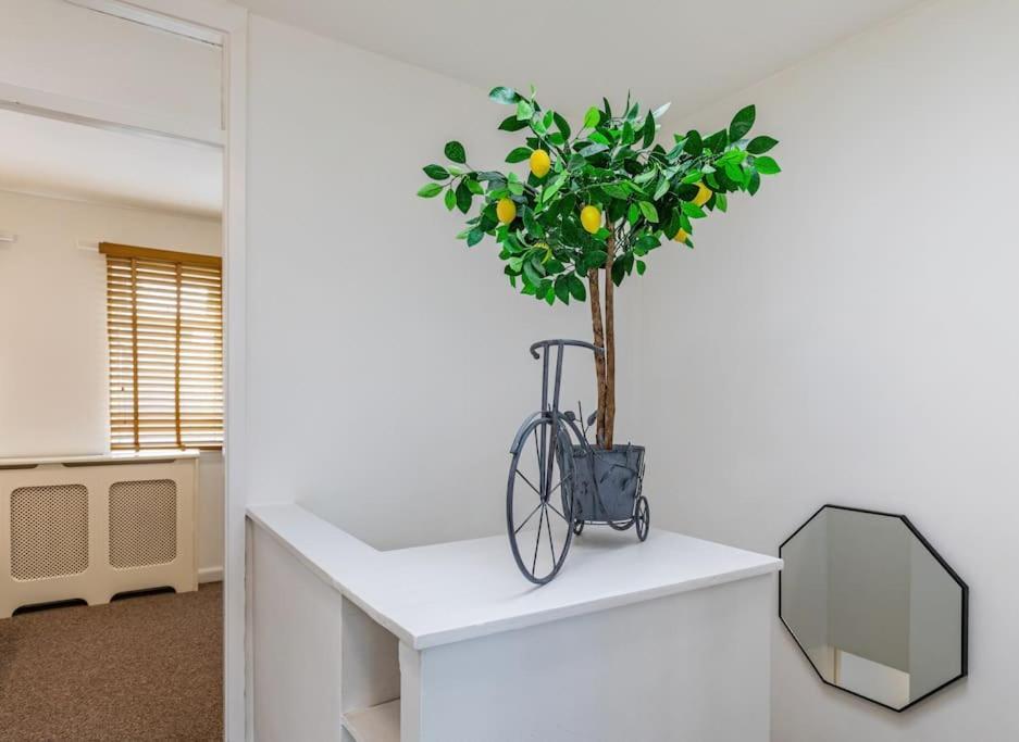 Spacious Duplex Sleeps 6 Apartment Winchester
