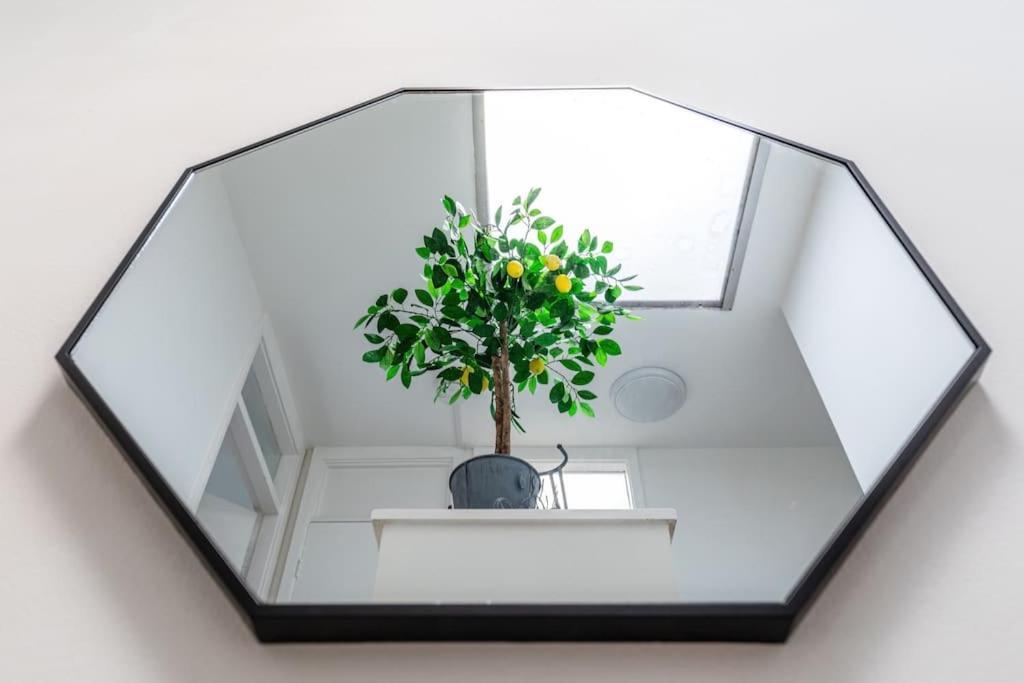 Spacious Duplex Sleeps 6 Apartment *